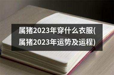 <h3>属猪2025年穿什么衣服(属猪2025年运势及运程)