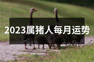 2025属猪人每月运势