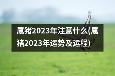 属猪2025年注意什么(属猪2025年运势及运程)