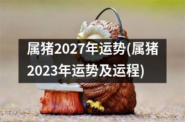 <h3>属猪2027年运势(属猪2023年运势及运程)