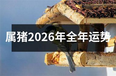 属猪2026年全年运势