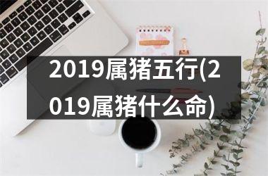 2019属猪五行(2019属猪什么命)