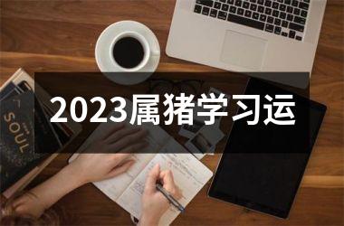 2025属猪学习运