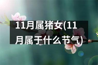 11月属猪女(11月属于什么节气)