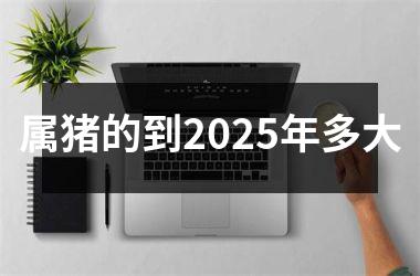 属猪的到2025年多大