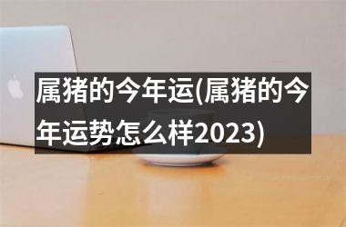 属猪的今年运(属猪的今年运势怎么样2025)