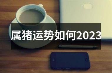 属猪运势如何2025