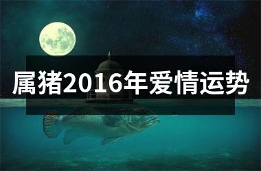 属猪2016年爱情运势