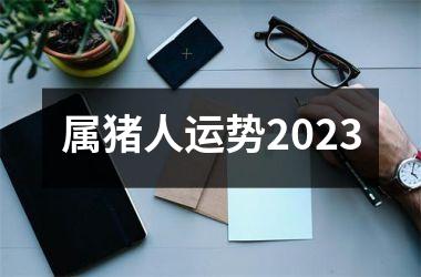 属猪人运势2025