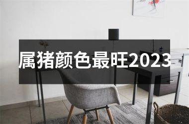 <h3>属猪颜色旺2025