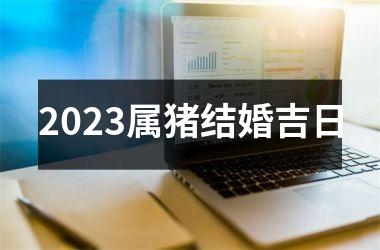 2025属猪结婚吉日