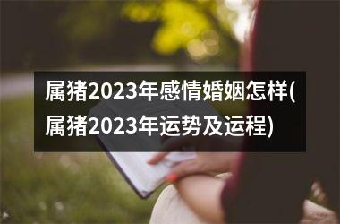 属猪2025年感情婚姻怎样(属猪2025年运势及运程)