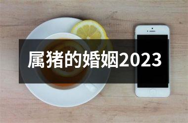 属猪的婚姻2025