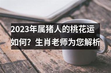 2025年属猪人的桃花运如何？生肖老师为您解析