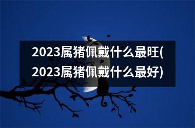 2025属猪佩戴什么旺(2025属猪佩戴什么好)