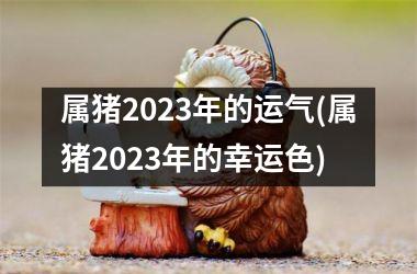 属猪2025年的运气(属猪2025年的幸运色)