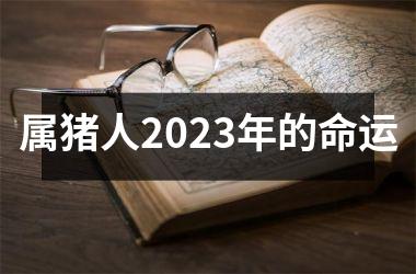 属猪人2025年的命运