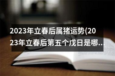 2025年立春后属猪运势(2025年立春后第五个戊日是哪一天)