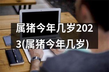 属猪今年几岁2025(属猪今年几岁)