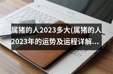 属猪的人2025多大(属猪的人2025年的运势及运程详解)