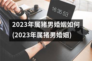 2025年属猪男婚姻如何(2025年属猪男婚姻)