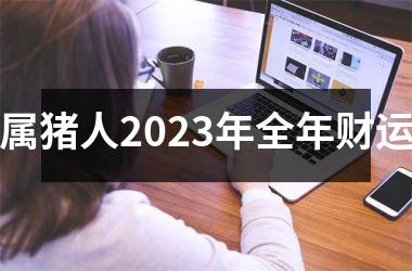 属猪人2025年全年财运