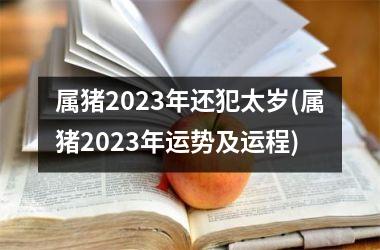 属猪2025年还犯太岁(属猪2025年运势及运程)