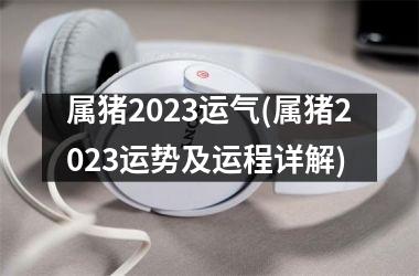 <h3>属猪2025运气(属猪2025运势及运程详解)