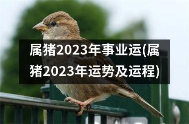 属猪2025年事业运(属猪2025年运势及运程)