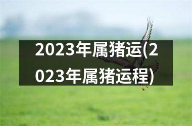 2025年属猪运(2025年属猪运程)