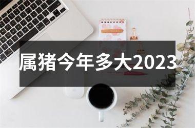 属猪今年多大2025