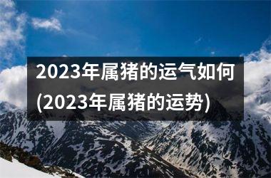 2025年属猪的运气如何(2025年属猪的运势)