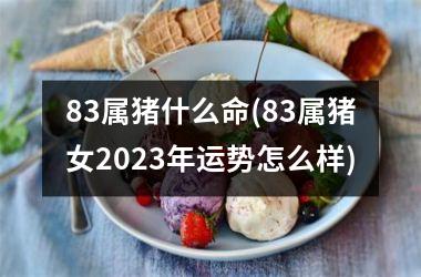 <h3>83属猪什么命(83属猪女2025年运势怎么样)