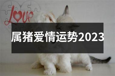 属猪爱情运势2025