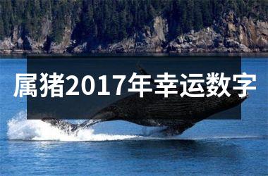 属猪2017年幸运数字