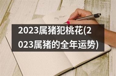 2025属猪犯桃花(2025属猪的全年运势)