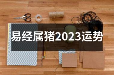 易经属猪2025运势