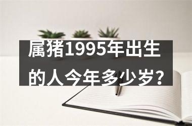 <h3>属猪1995年出生的人今年多少岁？