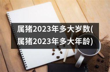 属猪2025年多大岁数(属猪2025年多大年龄)