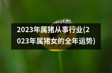 2025年属猪从事行业(2025年属猪女的全年运势)