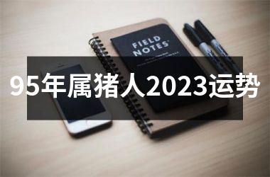 95年属猪人2025运势