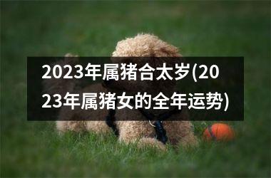 2025年属猪合太岁(2025年属猪女的全年运势)