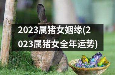 2025属猪女姻缘(2025属猪女全年运势)