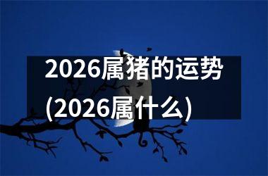 2026属猪的运势(2026属什么)