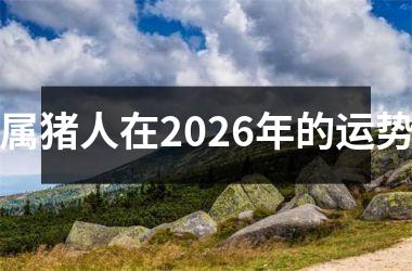 <h3>属猪人在2026年的运势