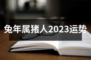 兔年属猪人2025运势