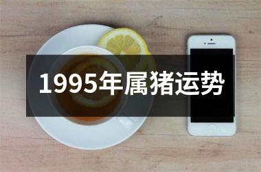 1995年属猪运势