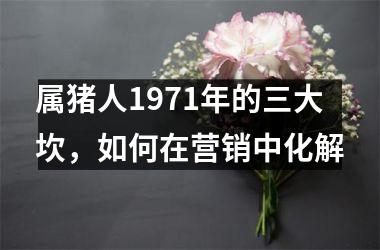 属猪人1971年的三大坎，如何在营销中化解