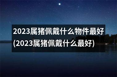 <h3>2025属猪佩戴什么物件好(2025属猪佩戴什么好)