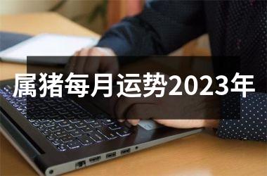 <h3>属猪每月运势2025年